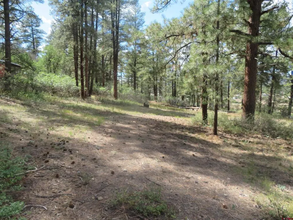 706 Hilltop Drive Pagosa Springs, CO 81147