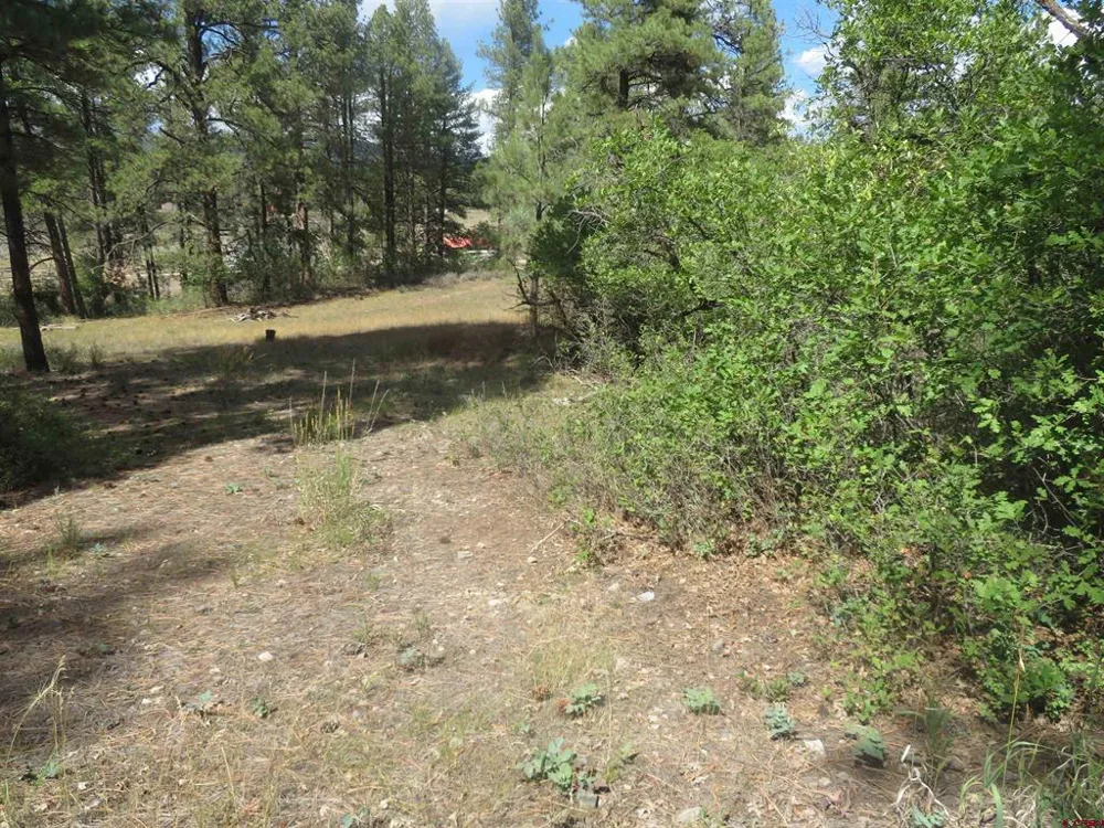 706 Hilltop Drive Pagosa Springs, CO 81147