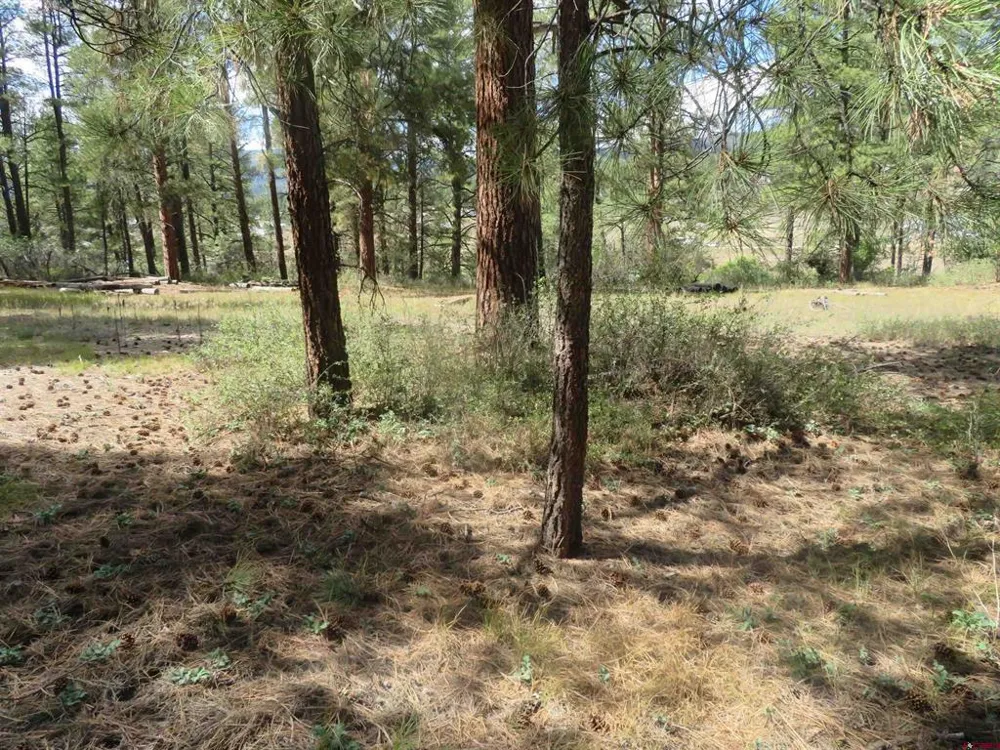 706 Hilltop Drive Pagosa Springs, CO 81147