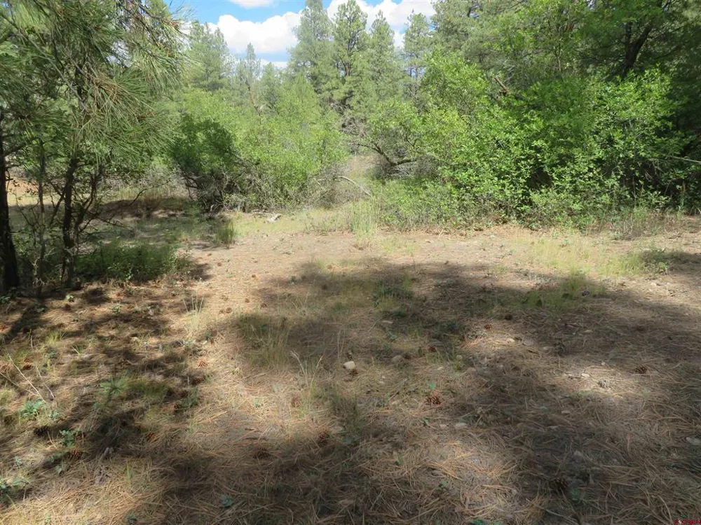 706 Hilltop Drive Pagosa Springs, CO 81147