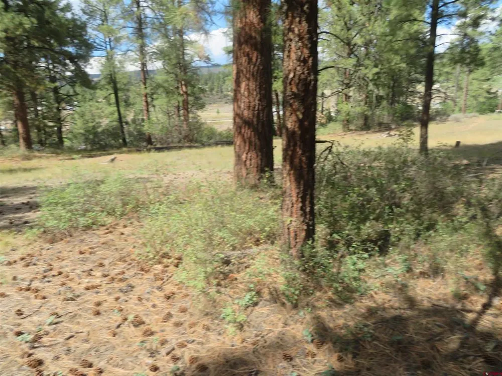 706 Hilltop Drive Pagosa Springs, CO 81147