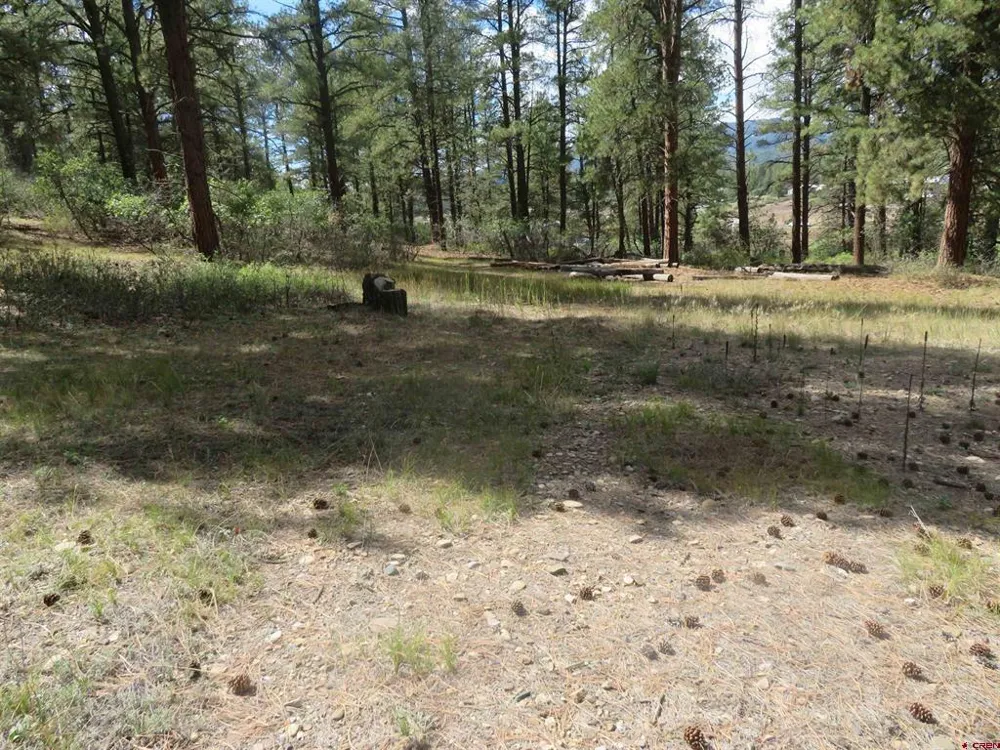 706 Hilltop Drive Pagosa Springs, CO 81147