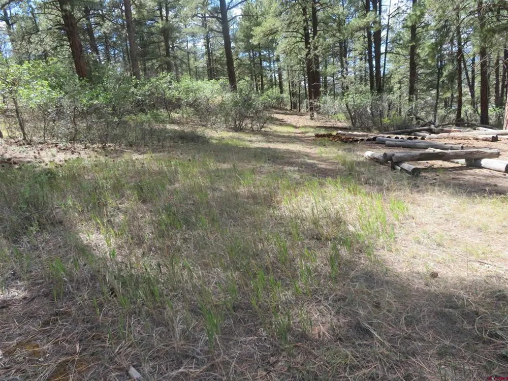 706 Hilltop Drive Pagosa Springs, CO 81147