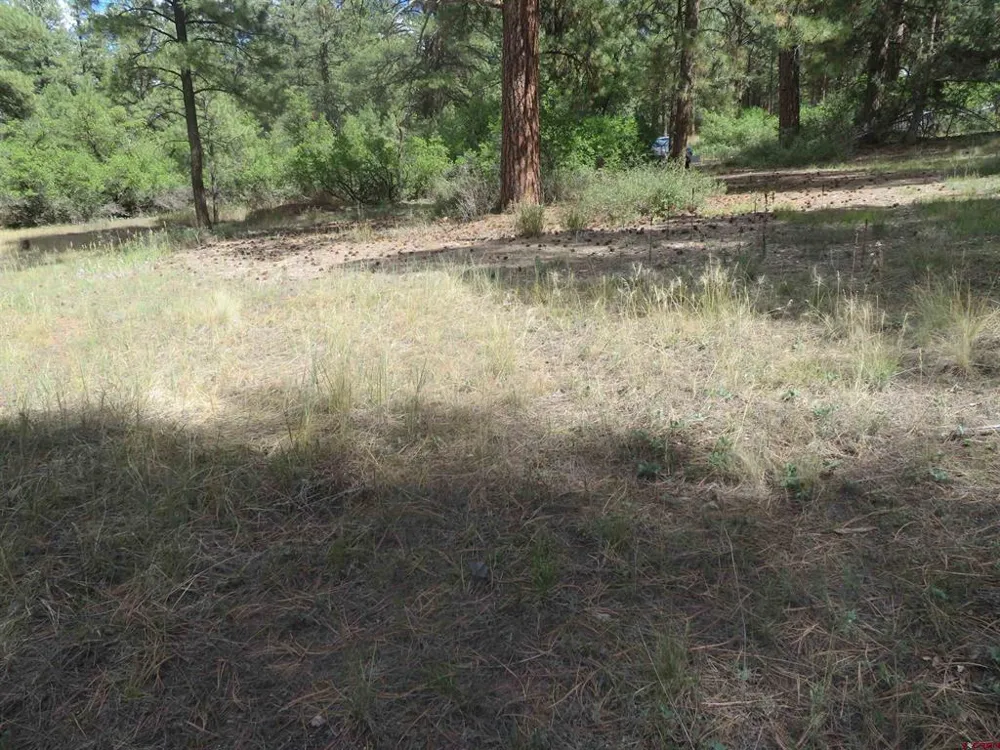 706 Hilltop Drive Pagosa Springs, CO 81147