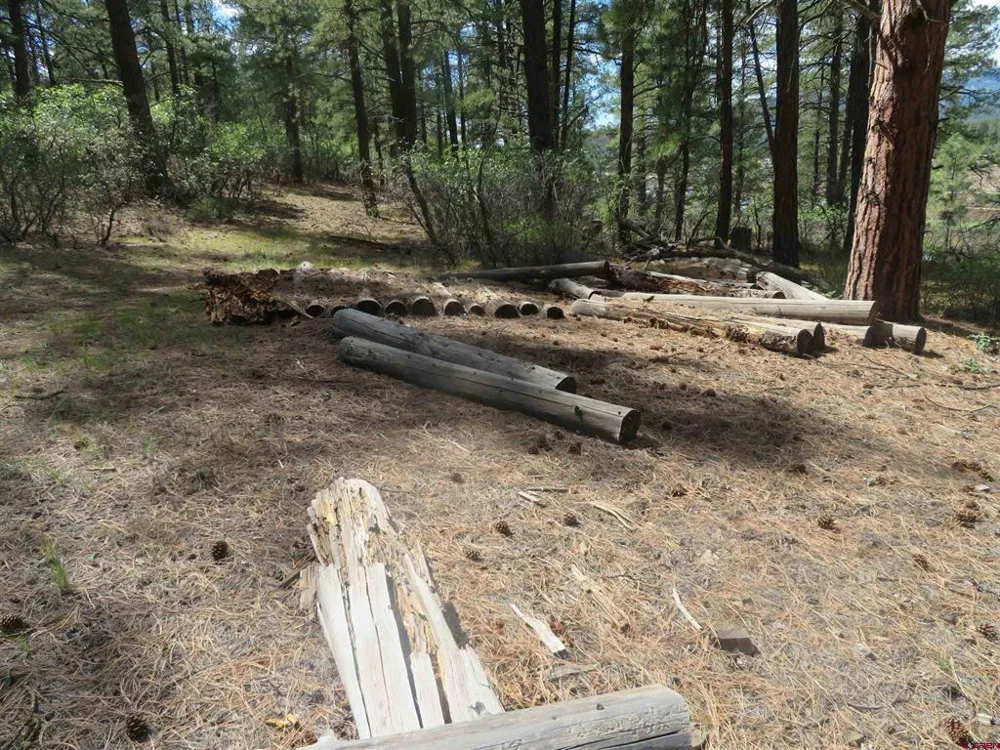 706 Hilltop Drive Pagosa Springs, CO 81147