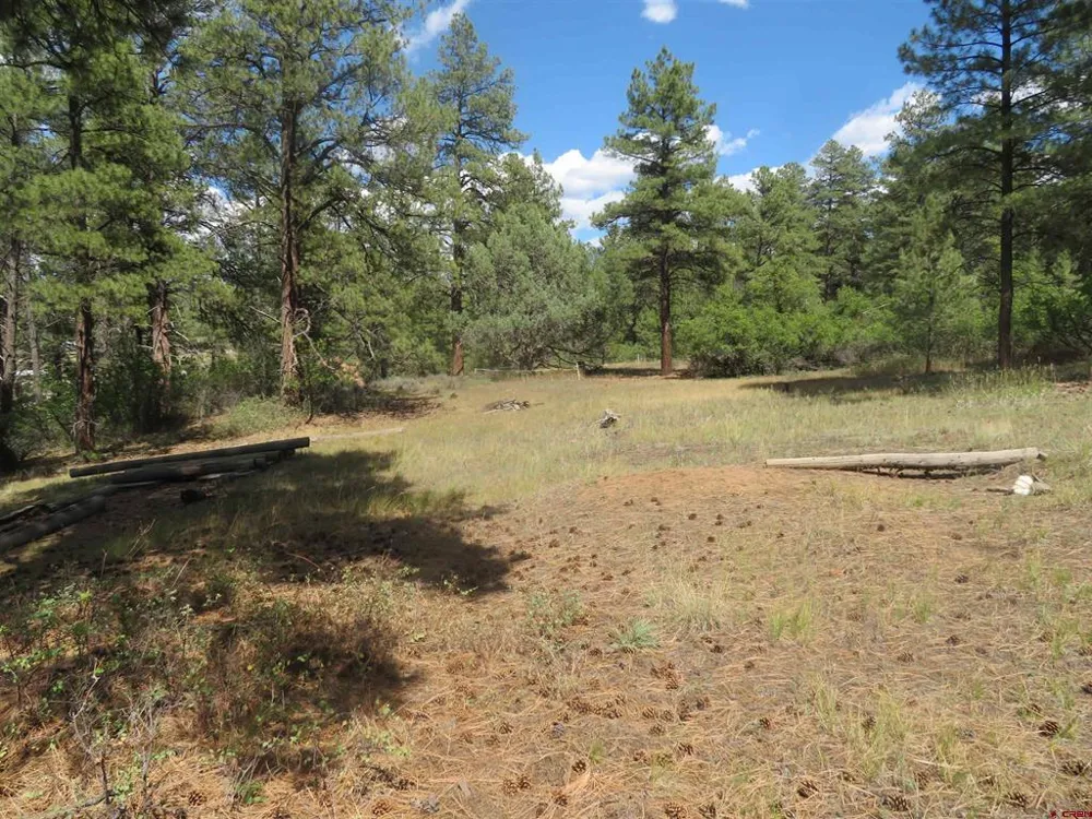 706 Hilltop Drive Pagosa Springs, CO 81147