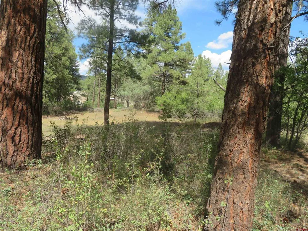 706 Hilltop Drive Pagosa Springs, CO 81147
