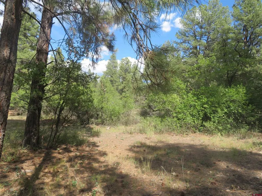 706 Hilltop Drive Pagosa Springs, CO 81147