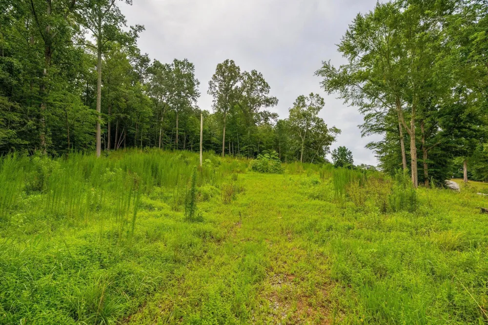 3646 Prospect Church Road Apison, TN 37302