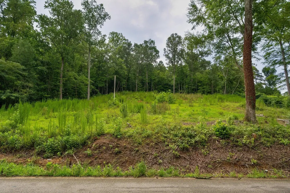 3646 Prospect Church Road Apison, TN 37302