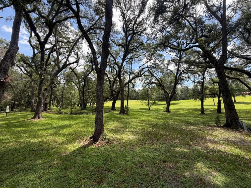 4875 SW COUNTY ROAD 240 Lake City, FL 32024