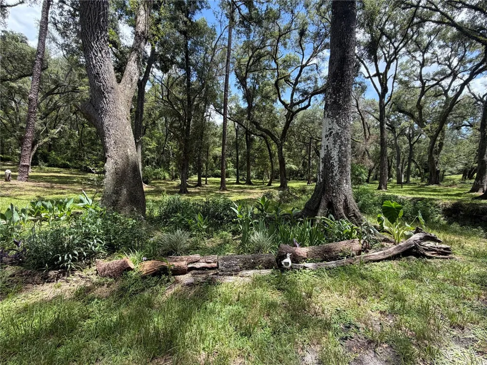 4875 SW COUNTY ROAD 240 Lake City, FL 32024