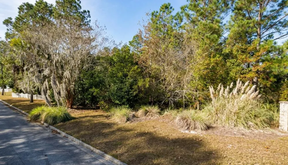 Terrel Mill Road Savannah, GA 36678