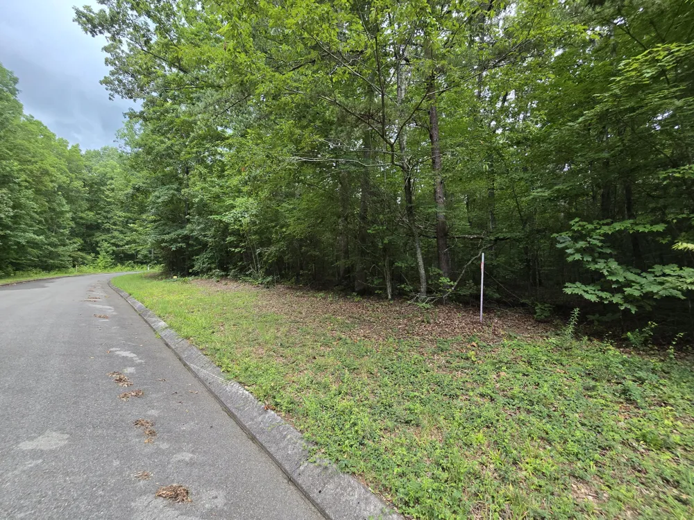 140 Lower Brow Road Dunlap, TN 37327