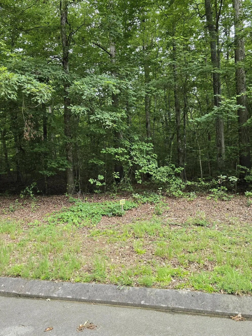 140 Lower Brow Road Dunlap, TN 37327