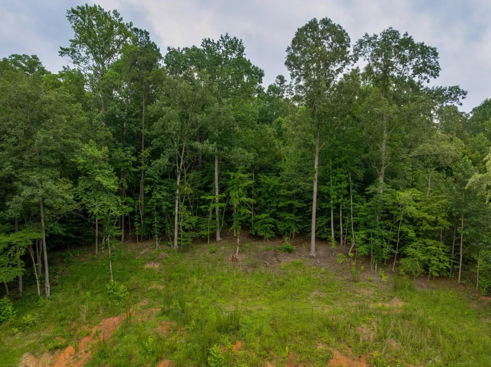 3646 Prospect Church Road Apison, TN 37302
