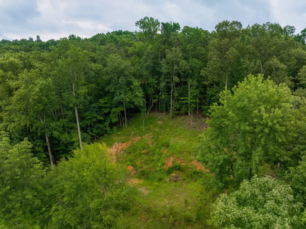 3646 Prospect Church Road Apison, TN 37302