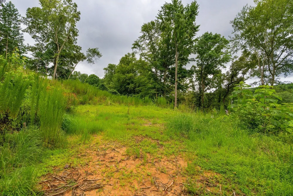 3646 Prospect Church Road Apison, TN 37302