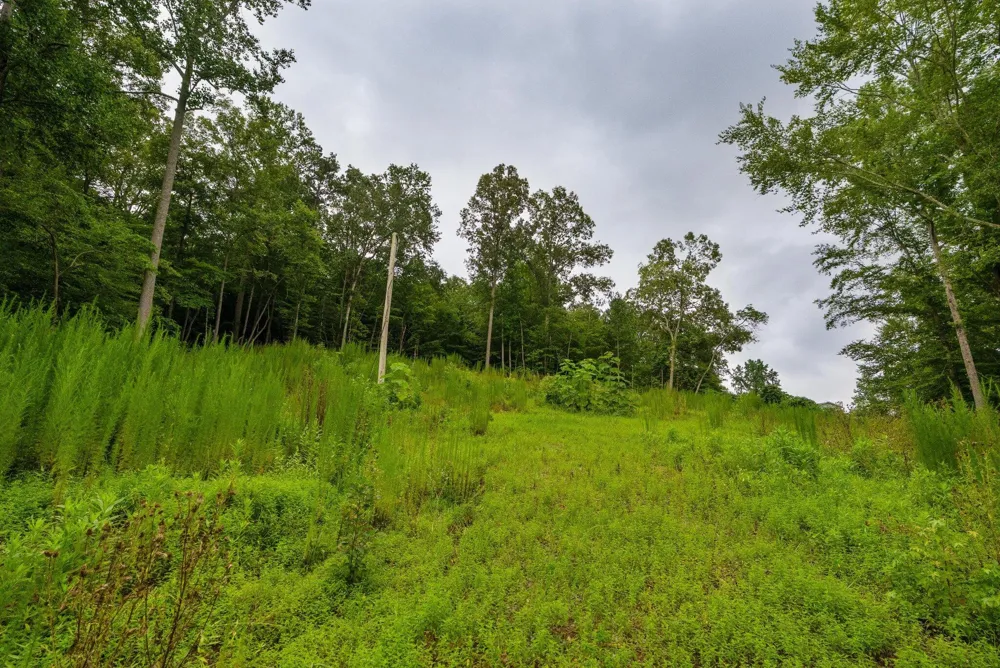 3646 Prospect Church Road Apison, TN 37302