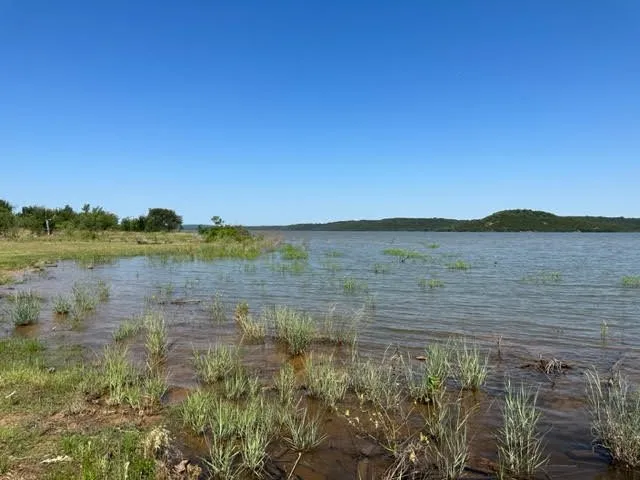 800 S Clear Cove Court Graford, TX 76449
