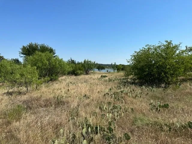 800 S Clear Cove Court Graford, TX 76449