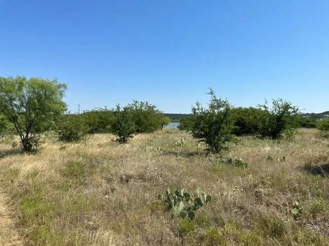 800 S Clear Cove Court Graford, TX 76449