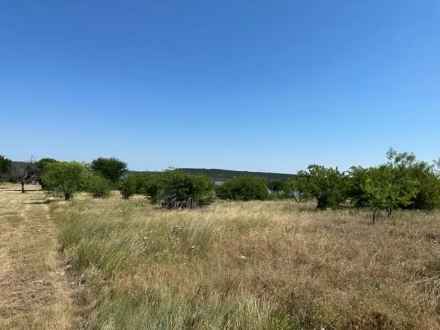 800 S Clear Cove Court Graford, TX 76449