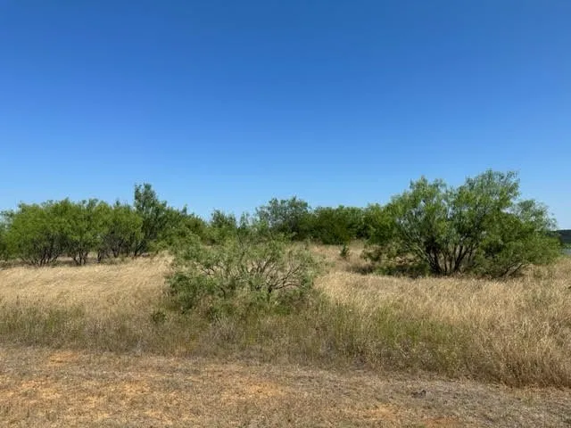 800 S Clear Cove Court Graford, TX 76449