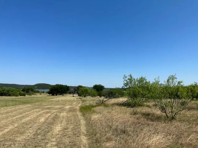 800 S Clear Cove Court Graford, TX 76449