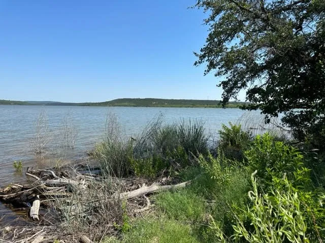 800 S Clear Cove Court Graford, TX 76449