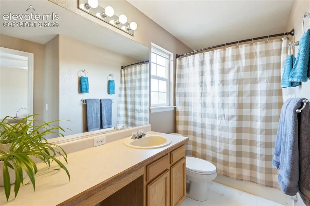 8309 Ivory Loop Peyton, CO 80831