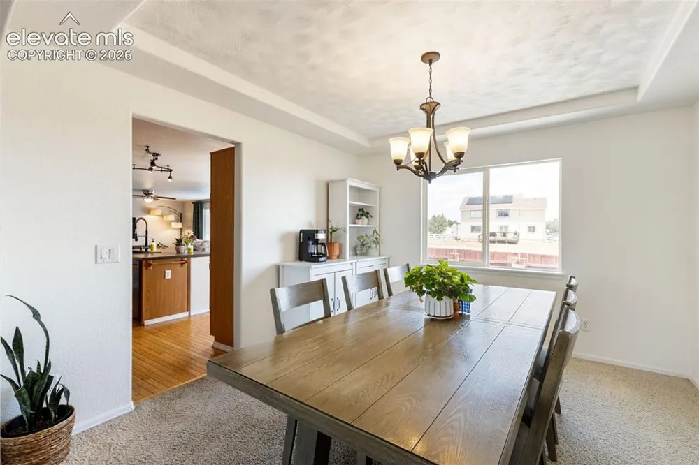 8309 Ivory Loop Peyton, CO 80831