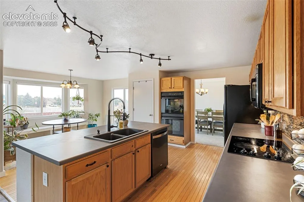 8309 Ivory Loop Peyton, CO 80831