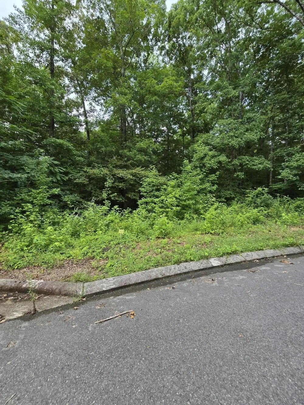 142 Lower Brow Road Dunlap, TN 37327