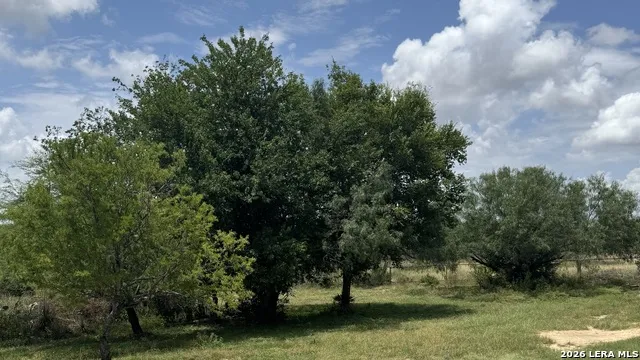 296 Strasbourg St Castroville, TX 78009