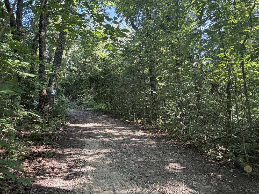 5659 Keller Road Delton, MI 49046