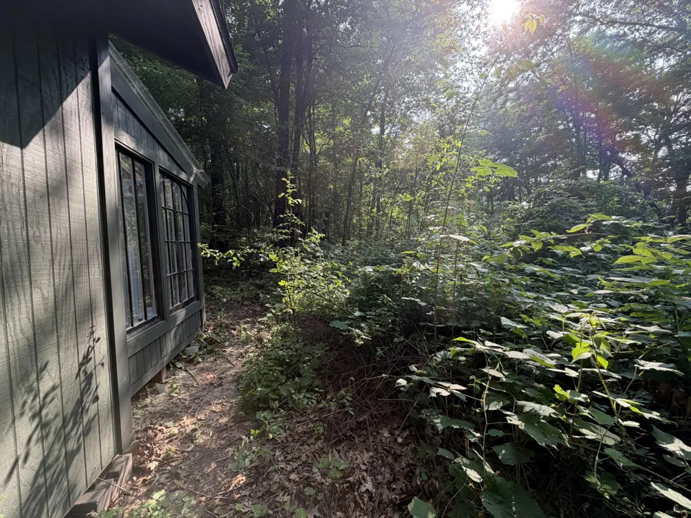 5659 Keller Road Delton, MI 49046