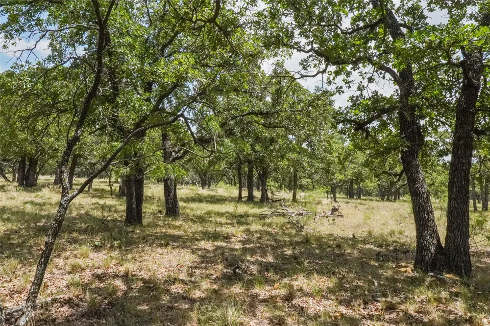 16 Burwick Road Jacksboro, TX 76458