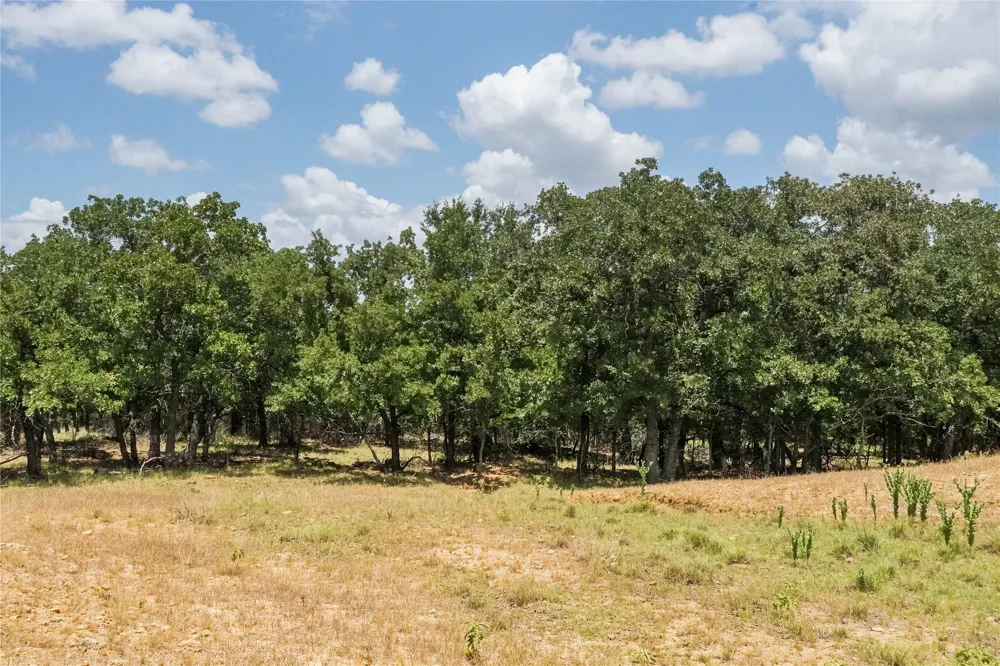 16 Burwick Road Jacksboro, TX 76458