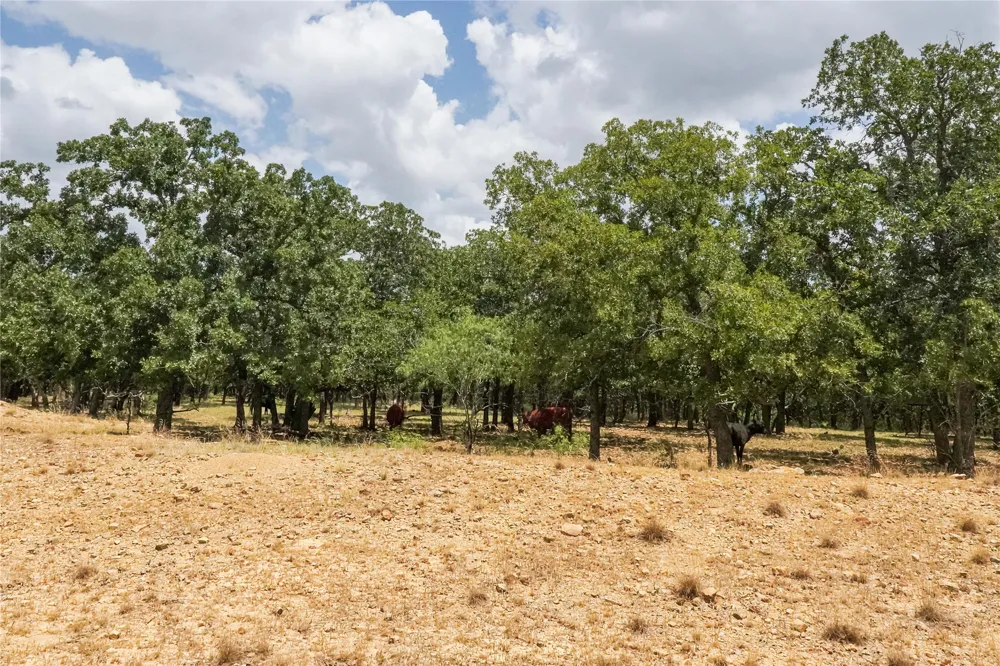 16 Burwick Road Jacksboro, TX 76458