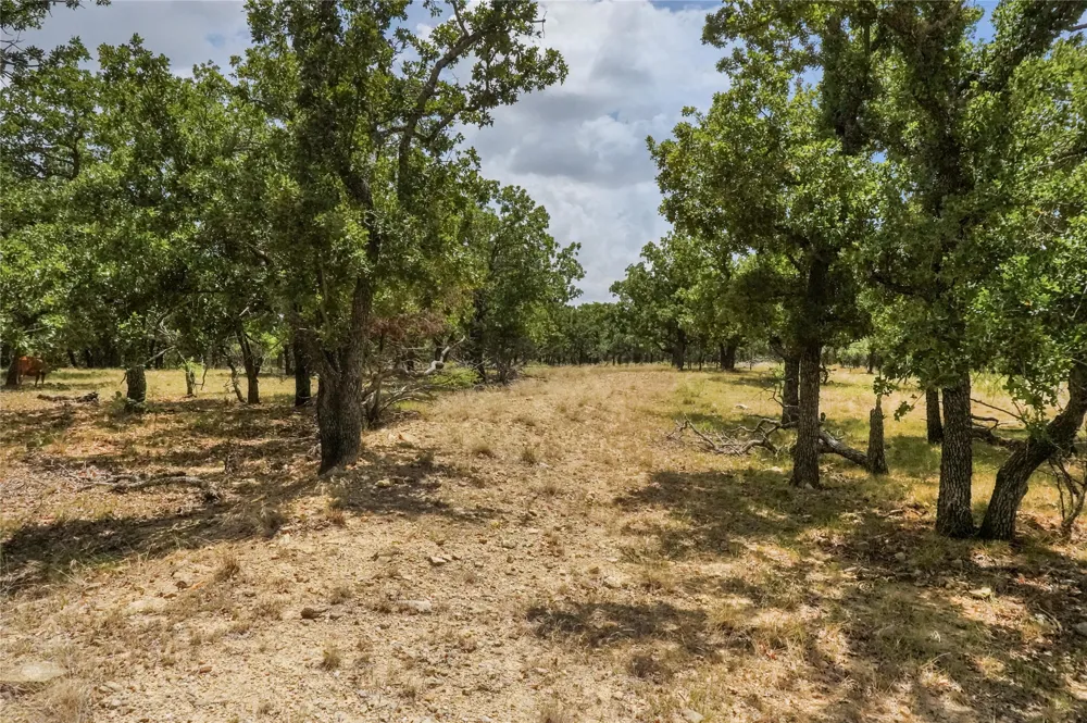 16 Burwick Road Jacksboro, TX 76458