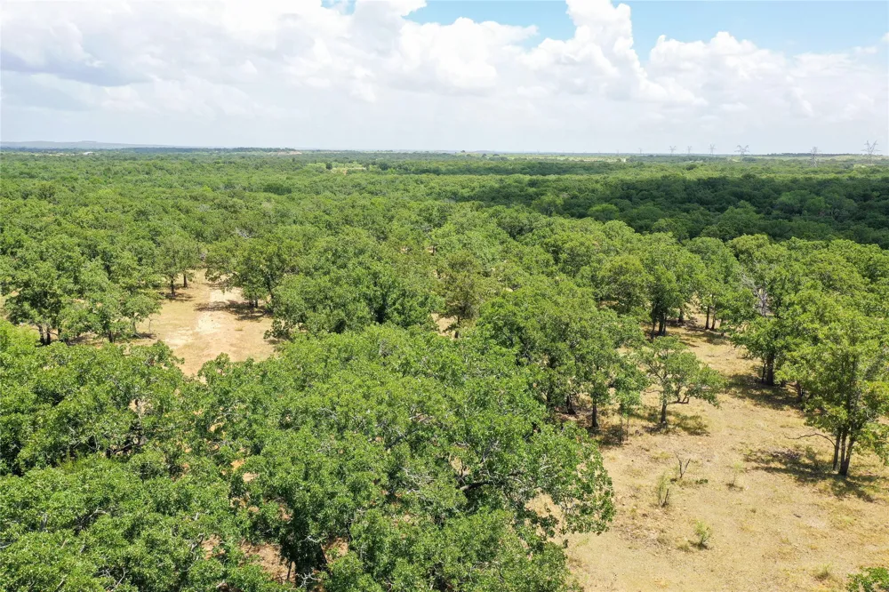 16 Burwick Road Jacksboro, TX 76458