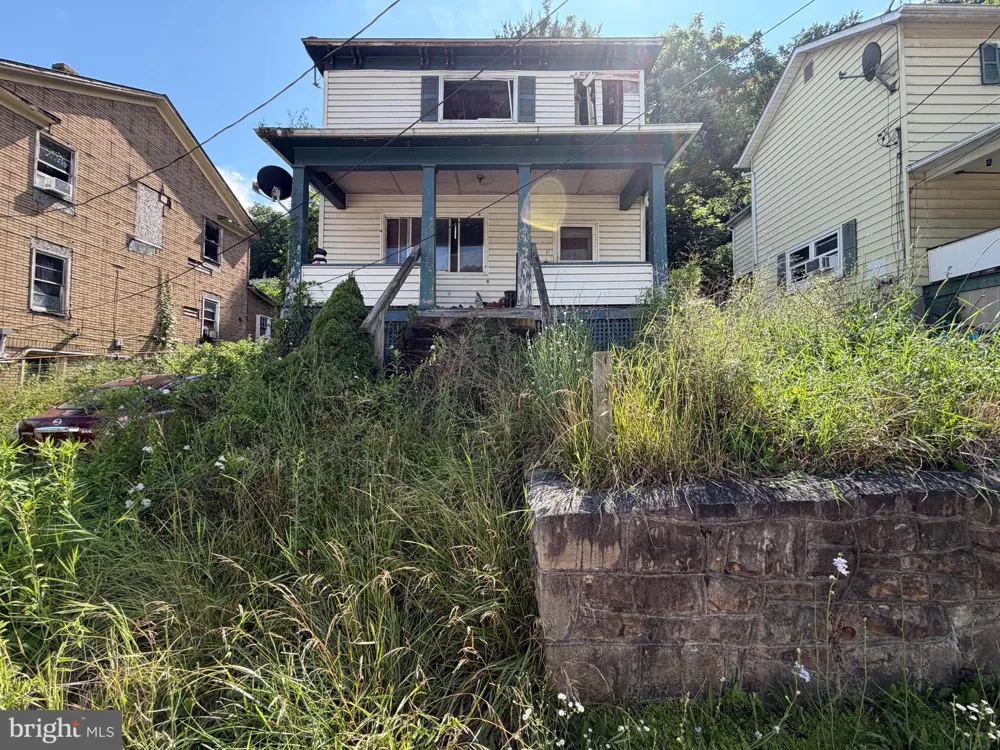 87 DOUGLAS AVENUE Lonaconing, MD 21539