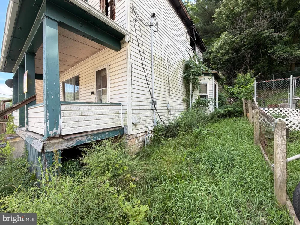 87 DOUGLAS AVENUE Lonaconing, MD 21539