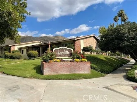 22685 Palm #C