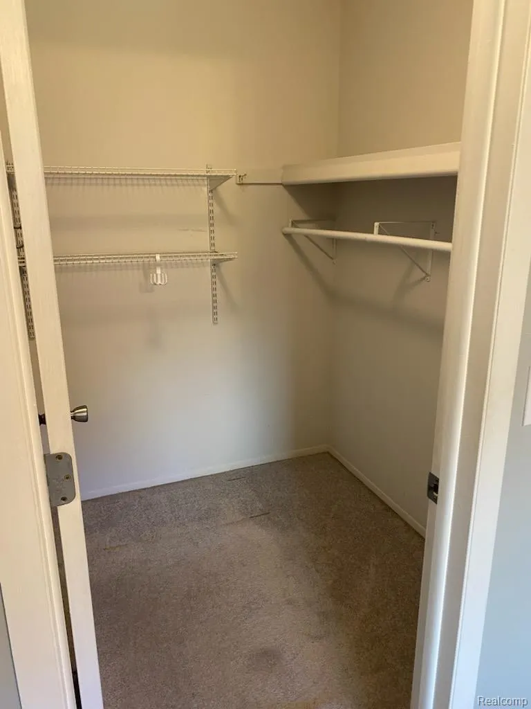 20404 Birch Meadow Drive Clinton Charter Township, MI 48036