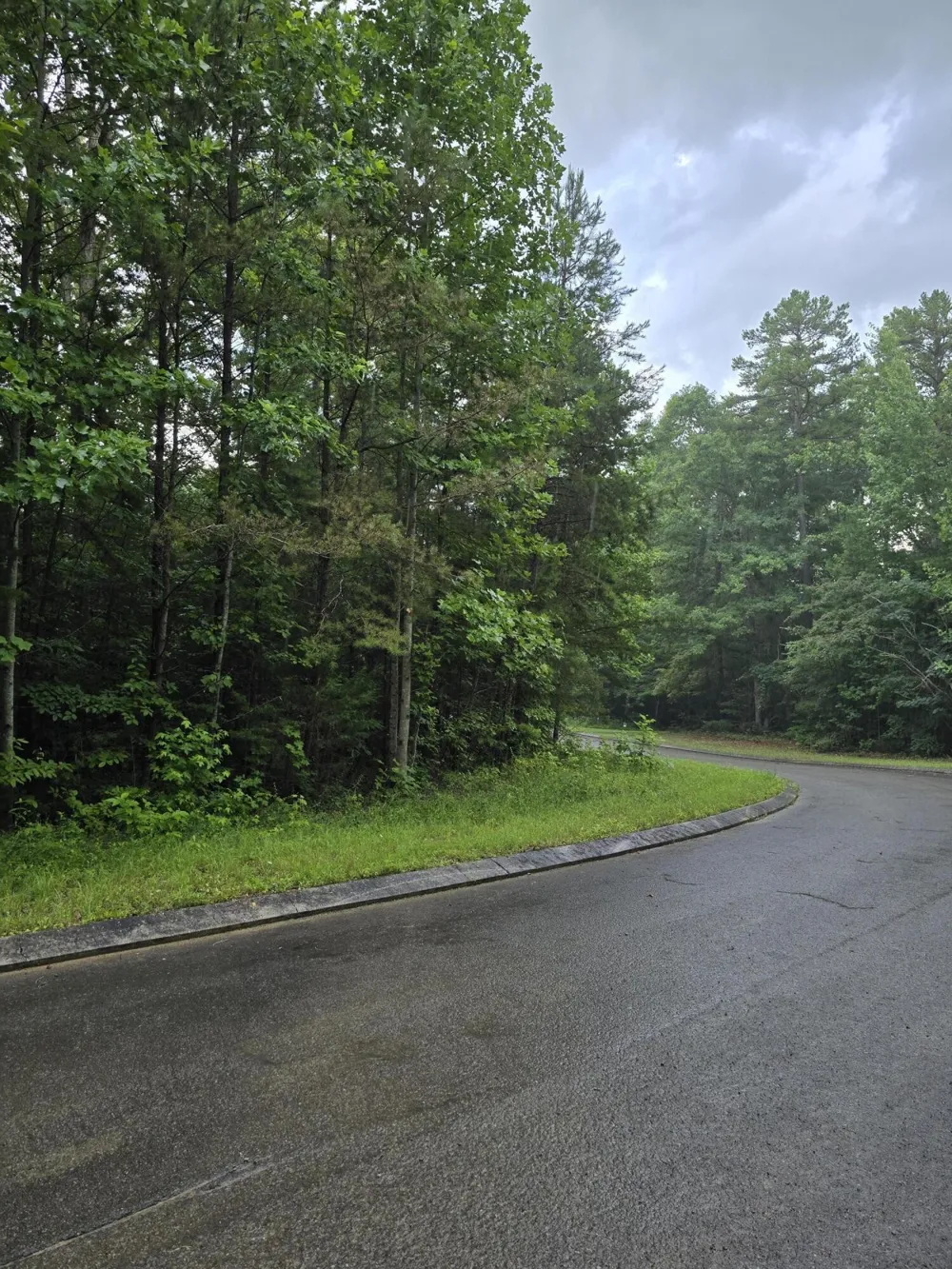 156 Lower Brow Road Dunlap, TN 37327