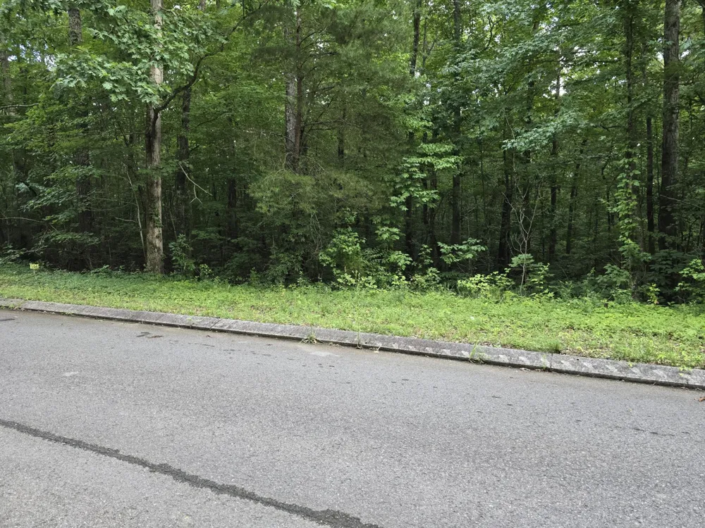 144 Lower Brow Road Dunlap, TN 37327