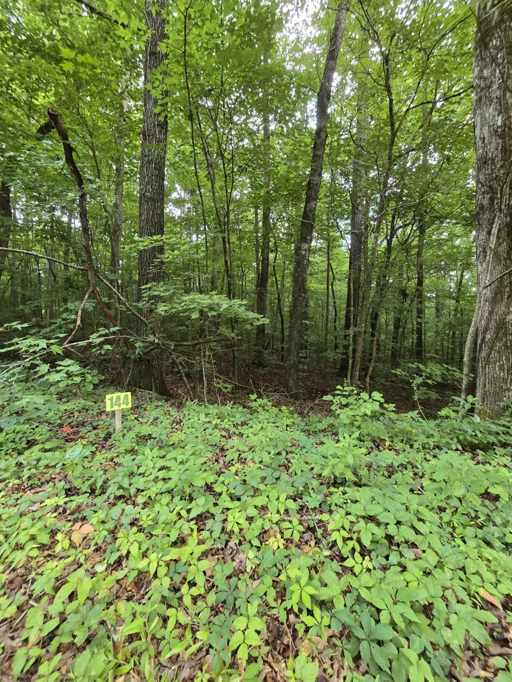 144 Lower Brow Road Dunlap, TN 37327