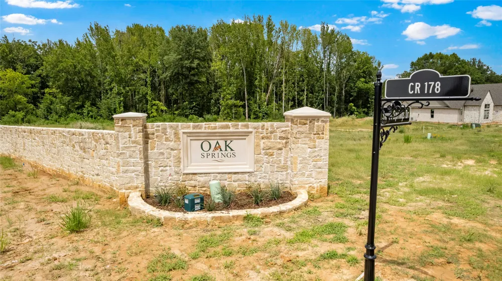 15125 Tilley Springs Cove Tyler, TX 75703